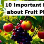 10 Important Facts about Fruit Plants